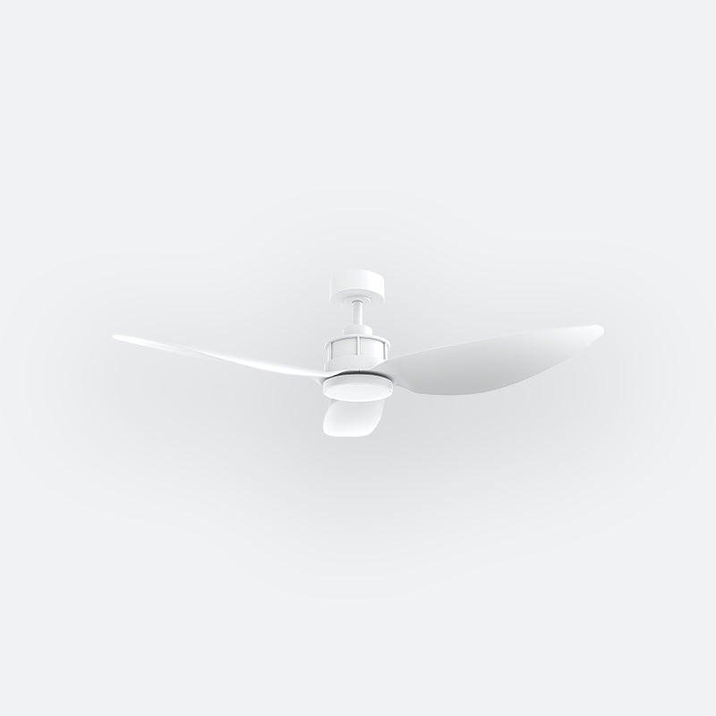 Y10N Modern DFY Decor Fan (NL2/SRF)