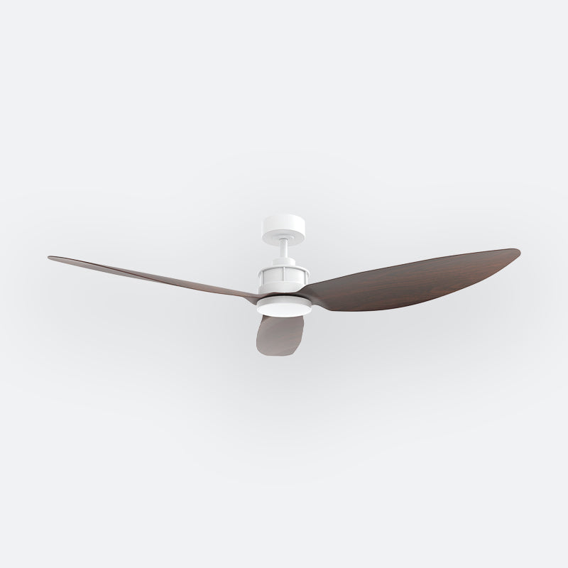 Y10N Scandinavian DFY Decor Fan (NL2/SRF)