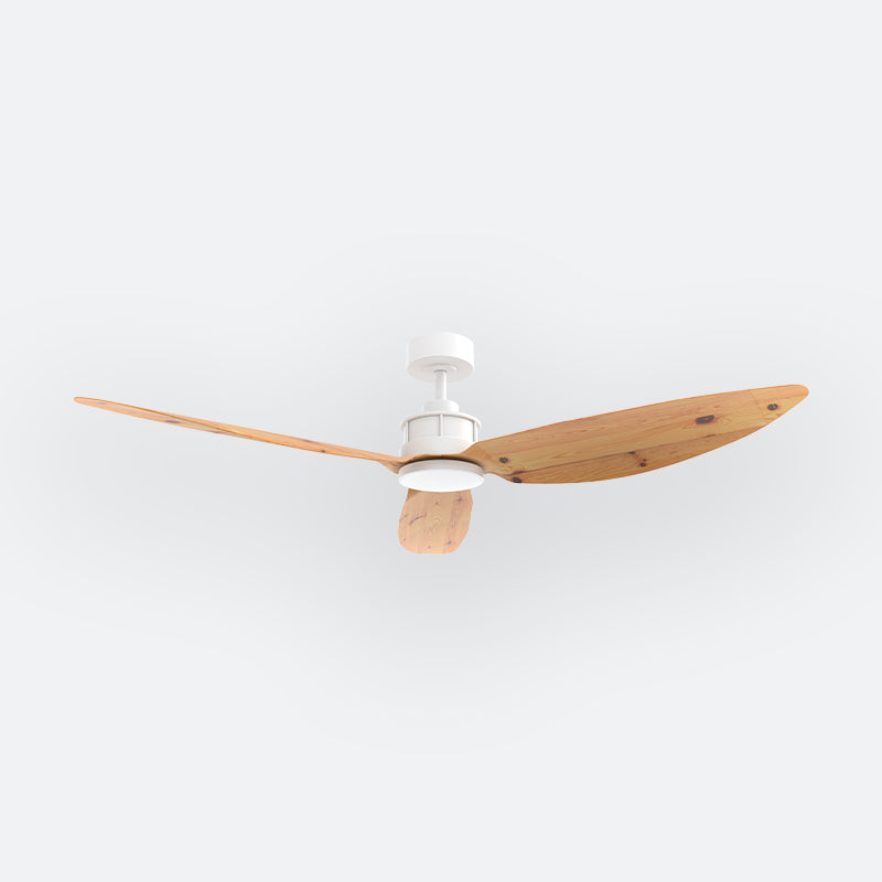 Y10N Scandinavian DFY Decor Fan (NL2/SRF)