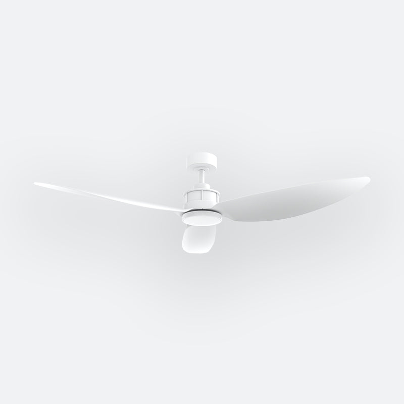 Y10N Modern DFY Decor Fan (NL2/SRF)