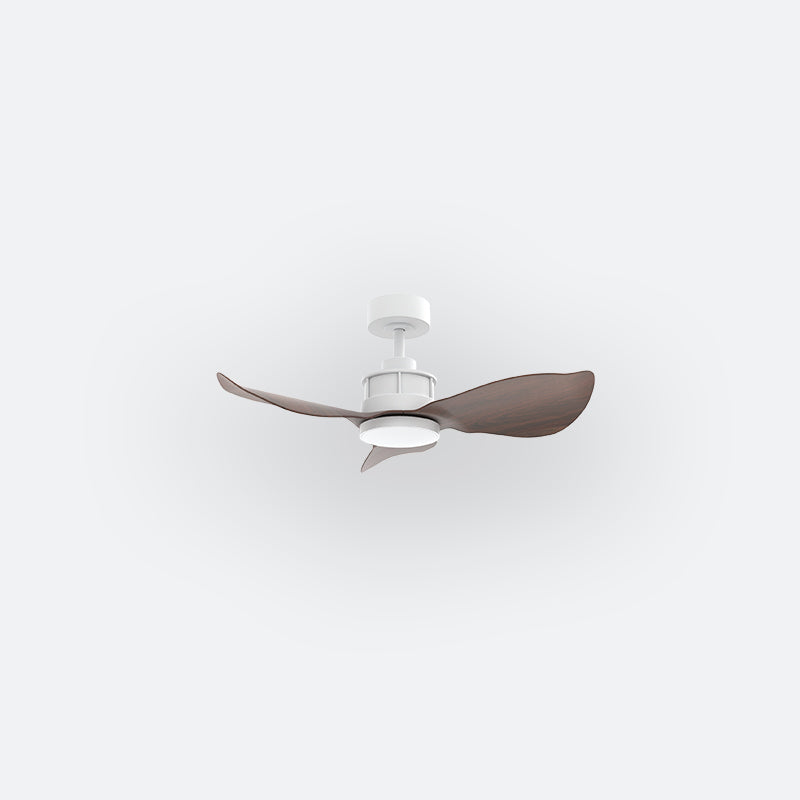 Y30N Scandinavian DFY Decor Fan (NL2/SRF)