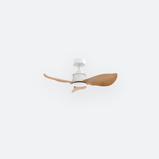 Y30N Scandinavian DCI Decor Fan (NL2/T5F)