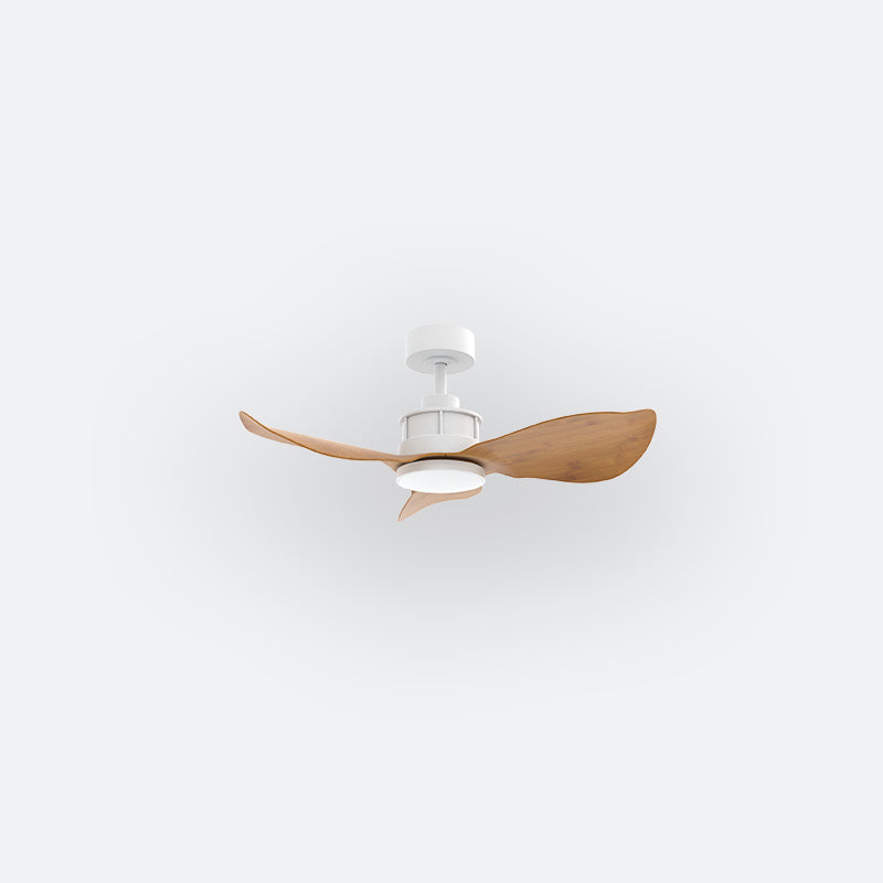 Y30N Scandinavian DFY Decor Fan (NL2/SRF)