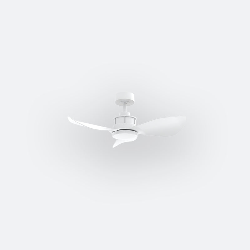 Y30N Modern DFY Decor Fan (NL2/SRF)