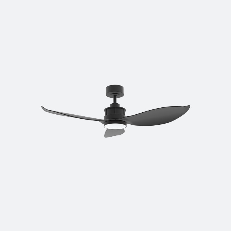 Y30N Modern DFY Decor Fan (NL2/SRF)