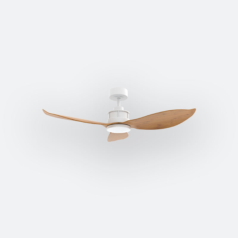 Y30N Scandinavian DFY Decor Fan (NL2/SRF)