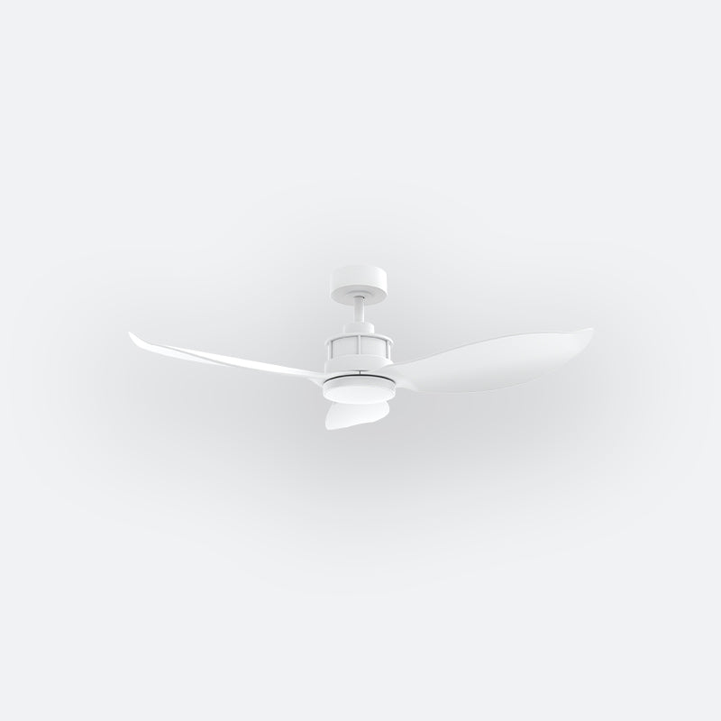 Y30N Modern DFY Decor Fan (NL2/SRF)