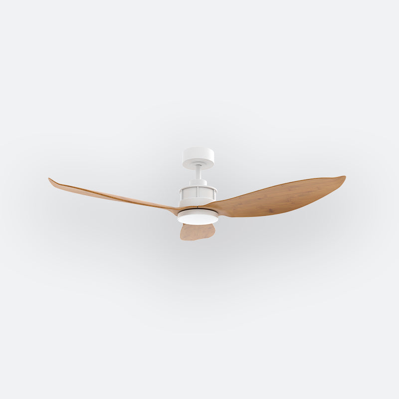 Y30N Scandinavian DFY Decor Fan (NL2/SRF)