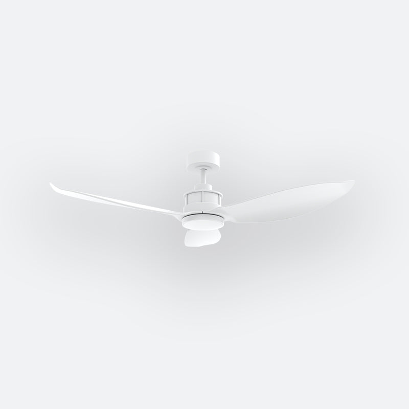 Y30N Modern DFY Decor Fan (NL2/SRF)
