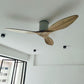 BAER Scandinavian Decor Fan (T5F/NLO)