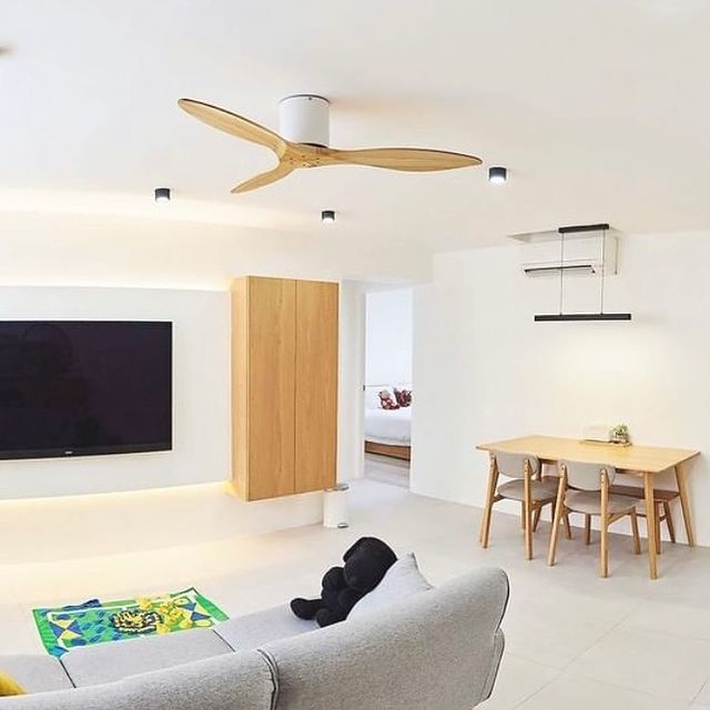 BAER Scandinavian Decor Fan (T5F/NLO)