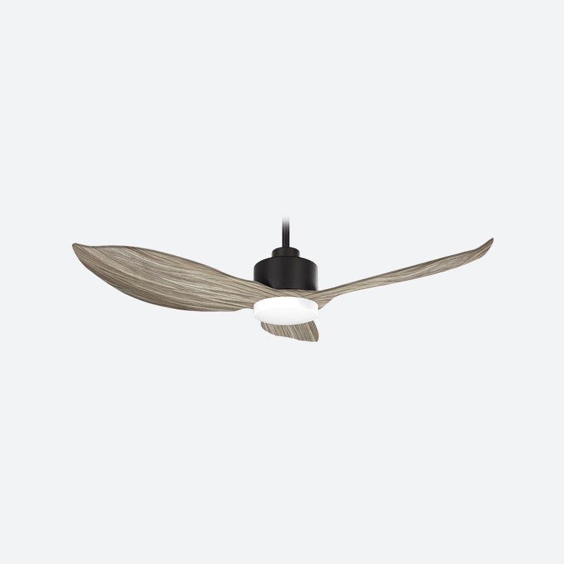 AEF3 Scandinavian Decor Fans (T5F)