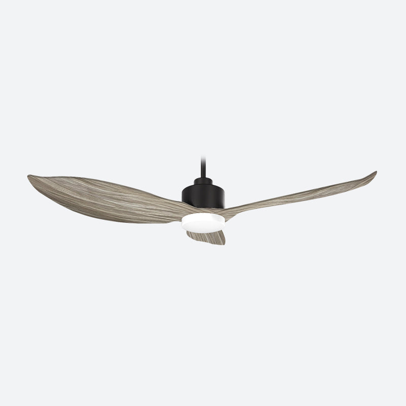 AEF3 Scandinavian Decor Fans (T5F)