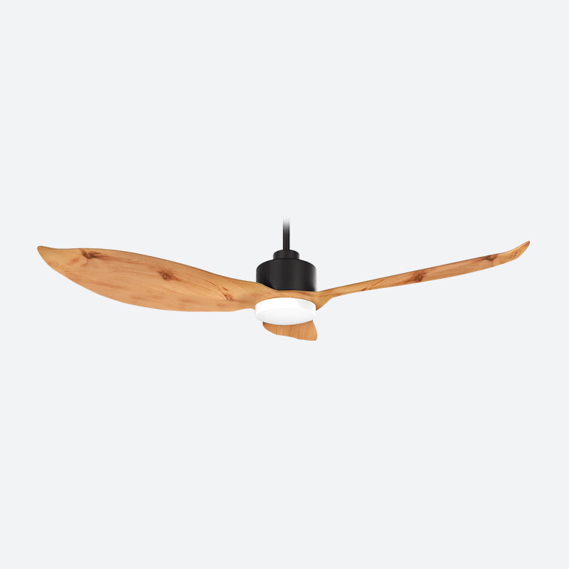 AEF3 Scandinavian Decor Fans (T5F)