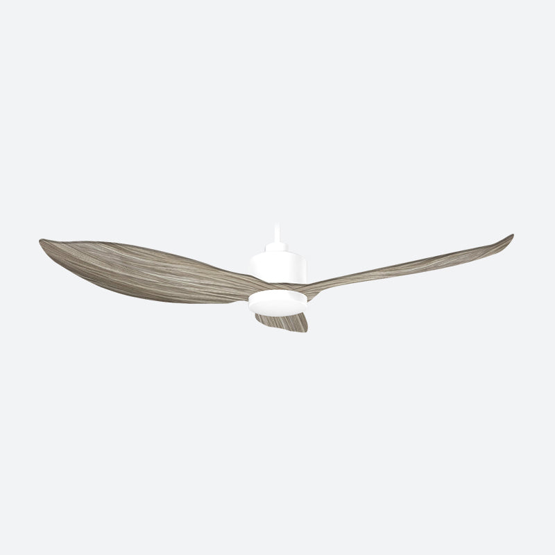 AEF3 Scandinavian Decor Fans (T5F)