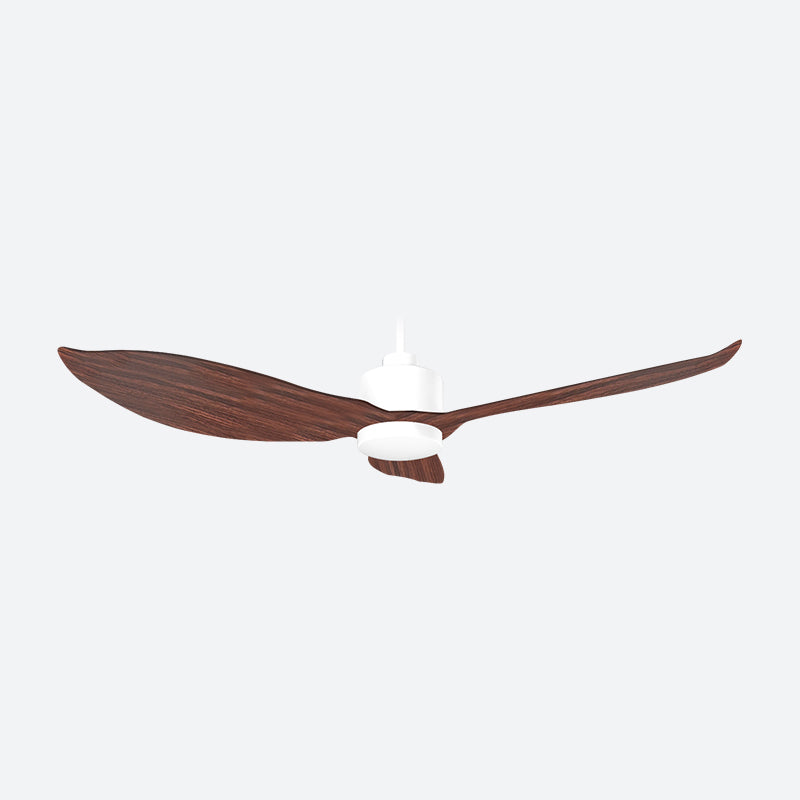AEF3 Scandinavian Decor Fans (T5F)