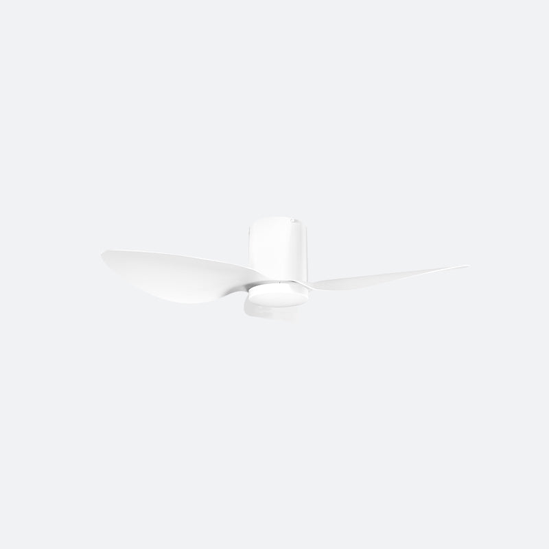 ASER Modern Decor Fans (T5F/NLO)