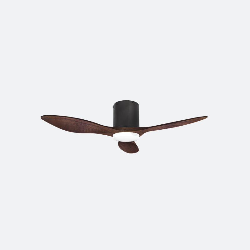 BAER Scandinavian Decor Fan (T5F/NLO)