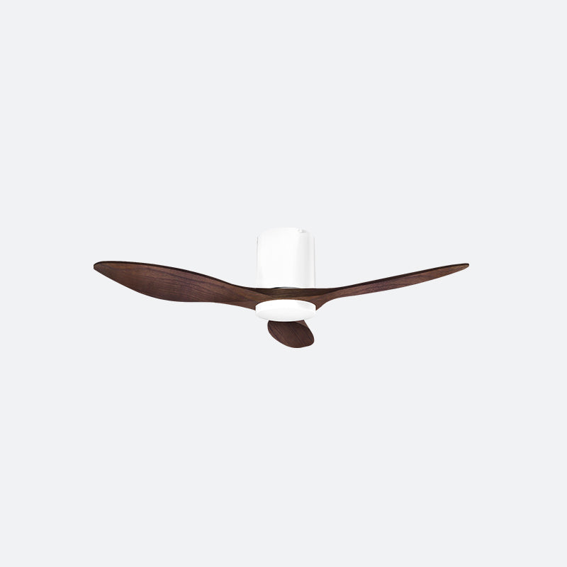 BAER Scandinavian Decor Fan (T5F/NLO)