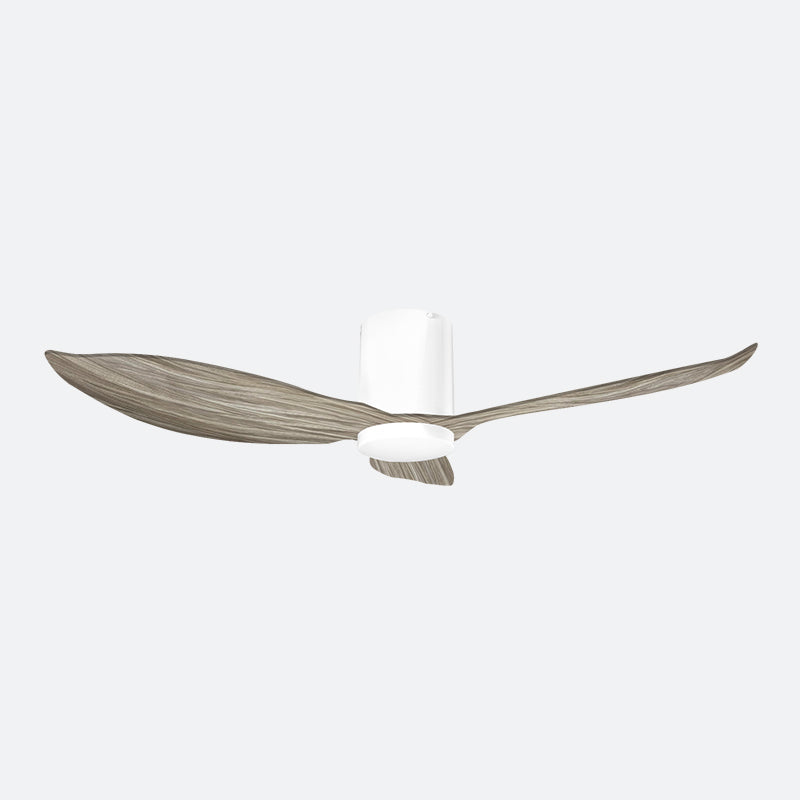 ELER Scandinavian Decor Fans (T5F/NLO)