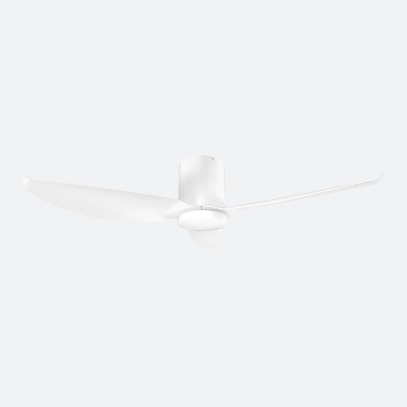 FEER Modern Decor Fans (T5F/NLO)