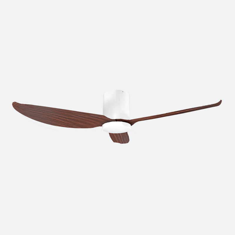 FEER Scandinavian Decor Fans (T5F/NLO)