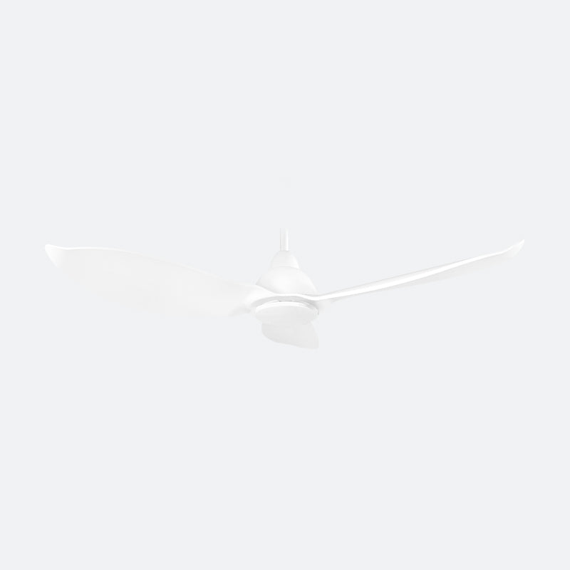 GERL Modern Decor Fans (NLO)