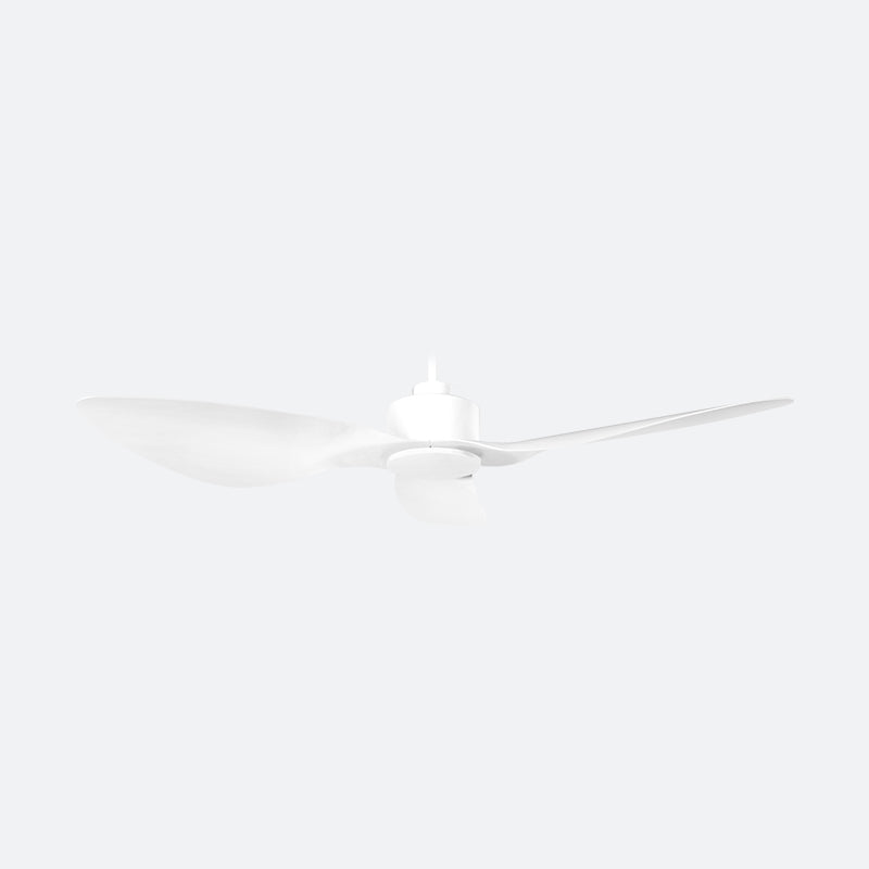 OCVE Modern Decor Fans (NLO)