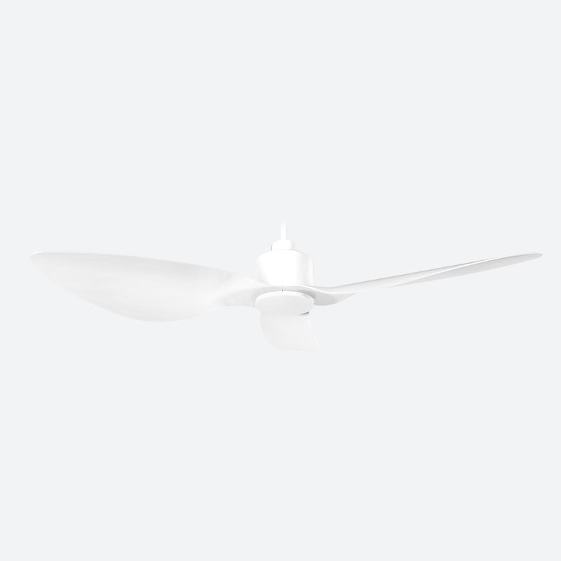 OCVE Modern Decor Fans (NLO)