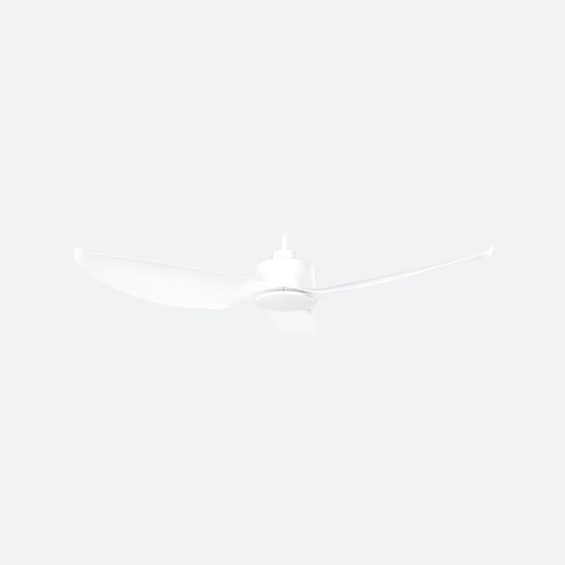 WVVE Modern Decor Fans (NLO)