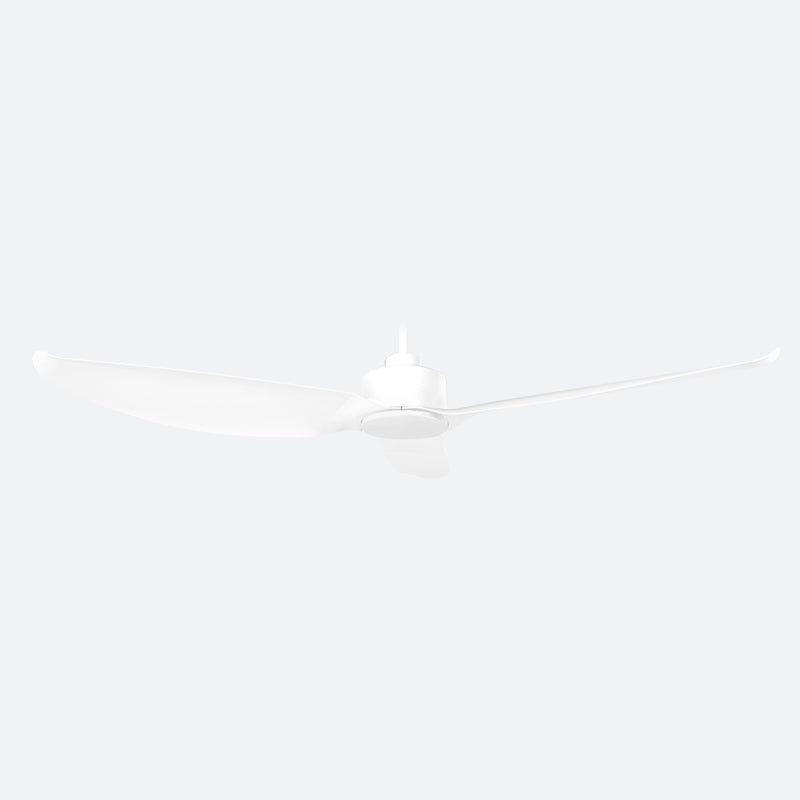 WVVE Modern Decor Fans (NLO)