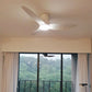 ASER Modern Decor Fans (T5F/NLO)