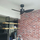 OCVE Modern Decor Fans (NLO)