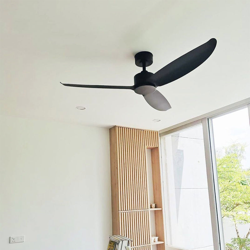 WVVE Modern Decor Fans (NLO)